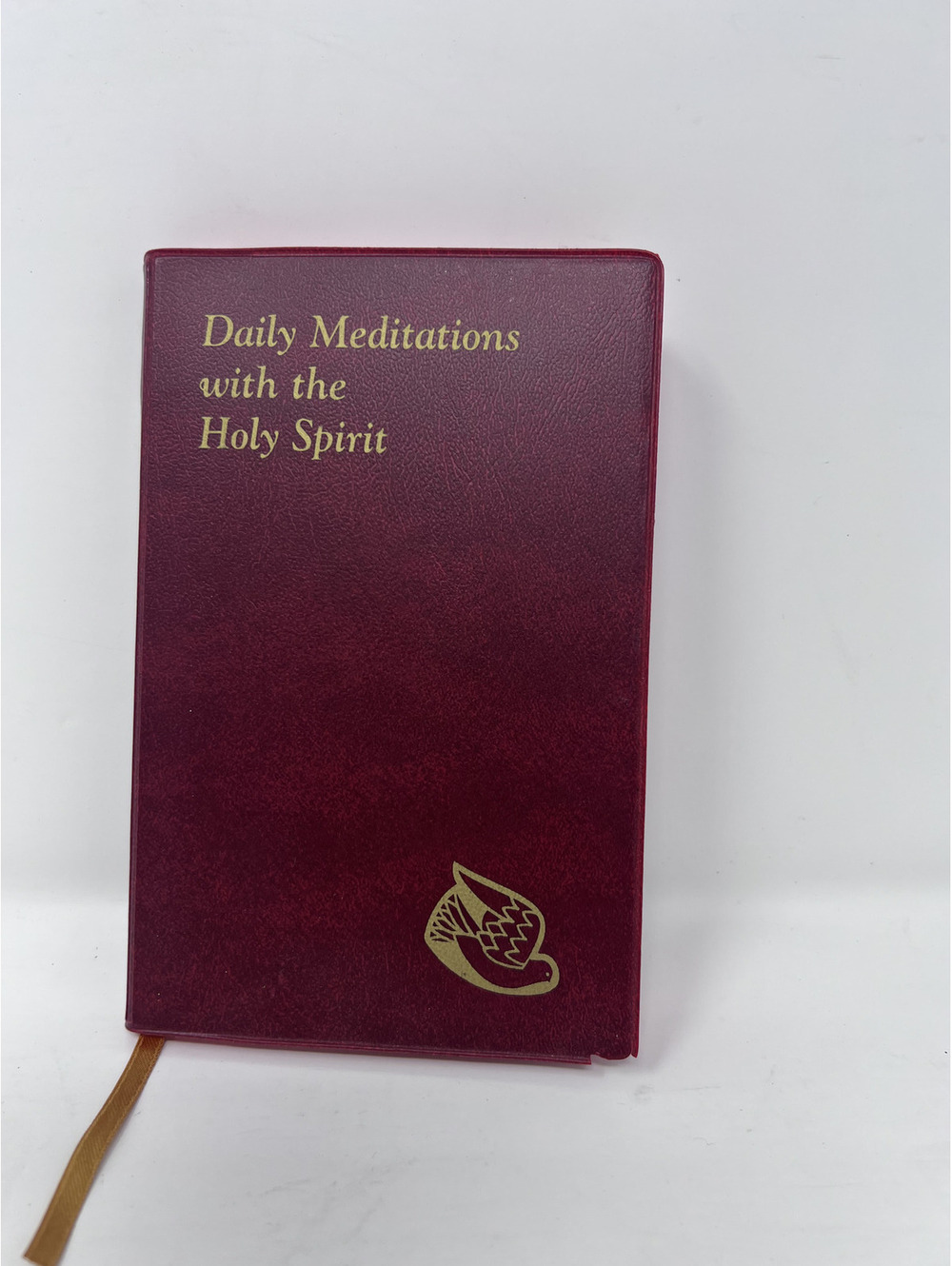 Daily Meditations with the Holy Spirit Book